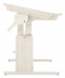 Preview: Schreibtisch von Lifetime Kidsrooms in whitewash